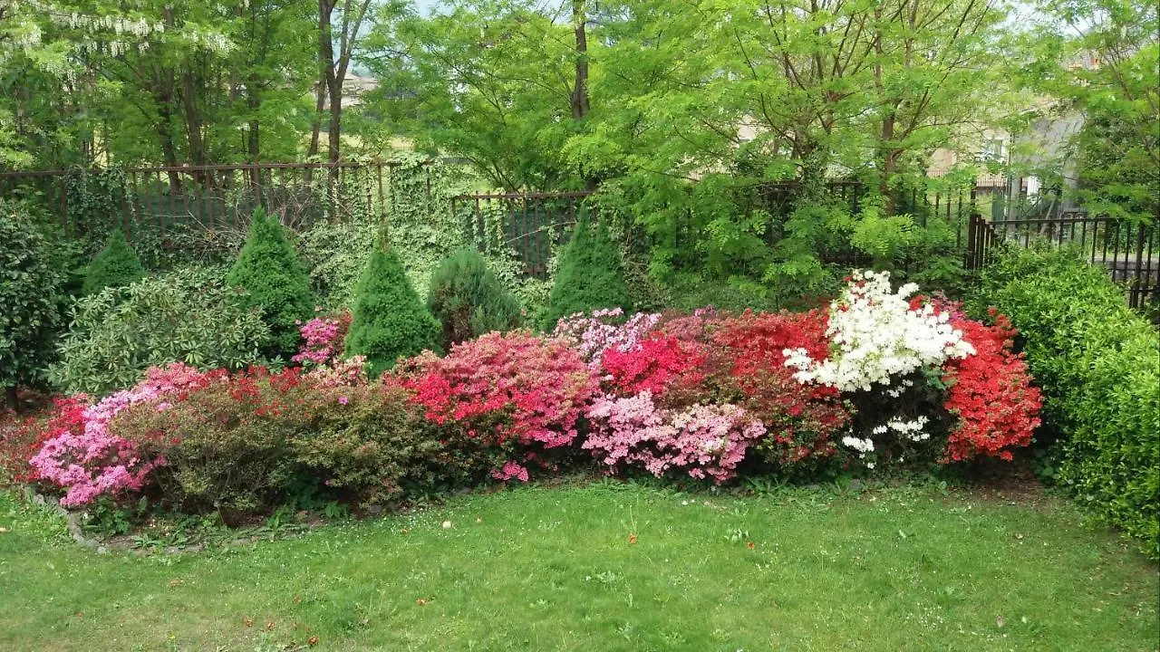 Il Giardino Appartement Colico Italië